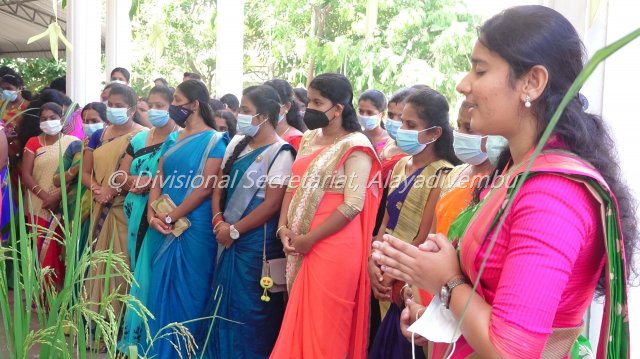 Pongal festival of Alayadivembu Divisional Secretariat-2021
